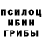 Псилоцибиновые грибы прущие грибы St Kte