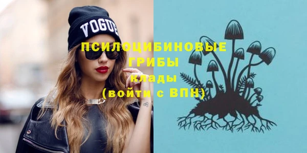 индика Семёнов