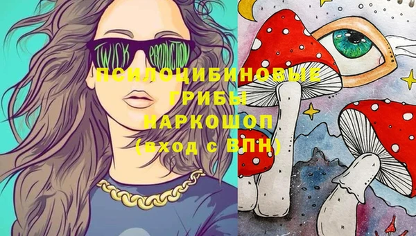 индика Семёнов