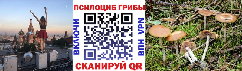 Галлюциногенные грибы GOLDEN TEACHER  купить наркотик  Инза 